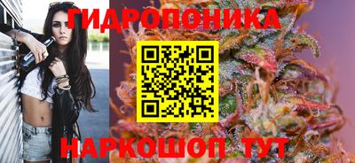 шишки Усть-Илимск
