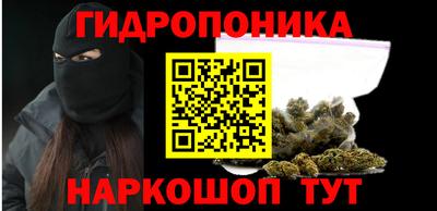 шишки Усть-Илимск