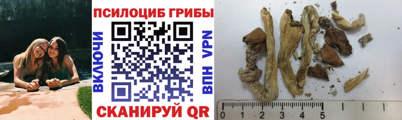 Галлюциногенные грибы Magic Shrooms  Советская Гавань 